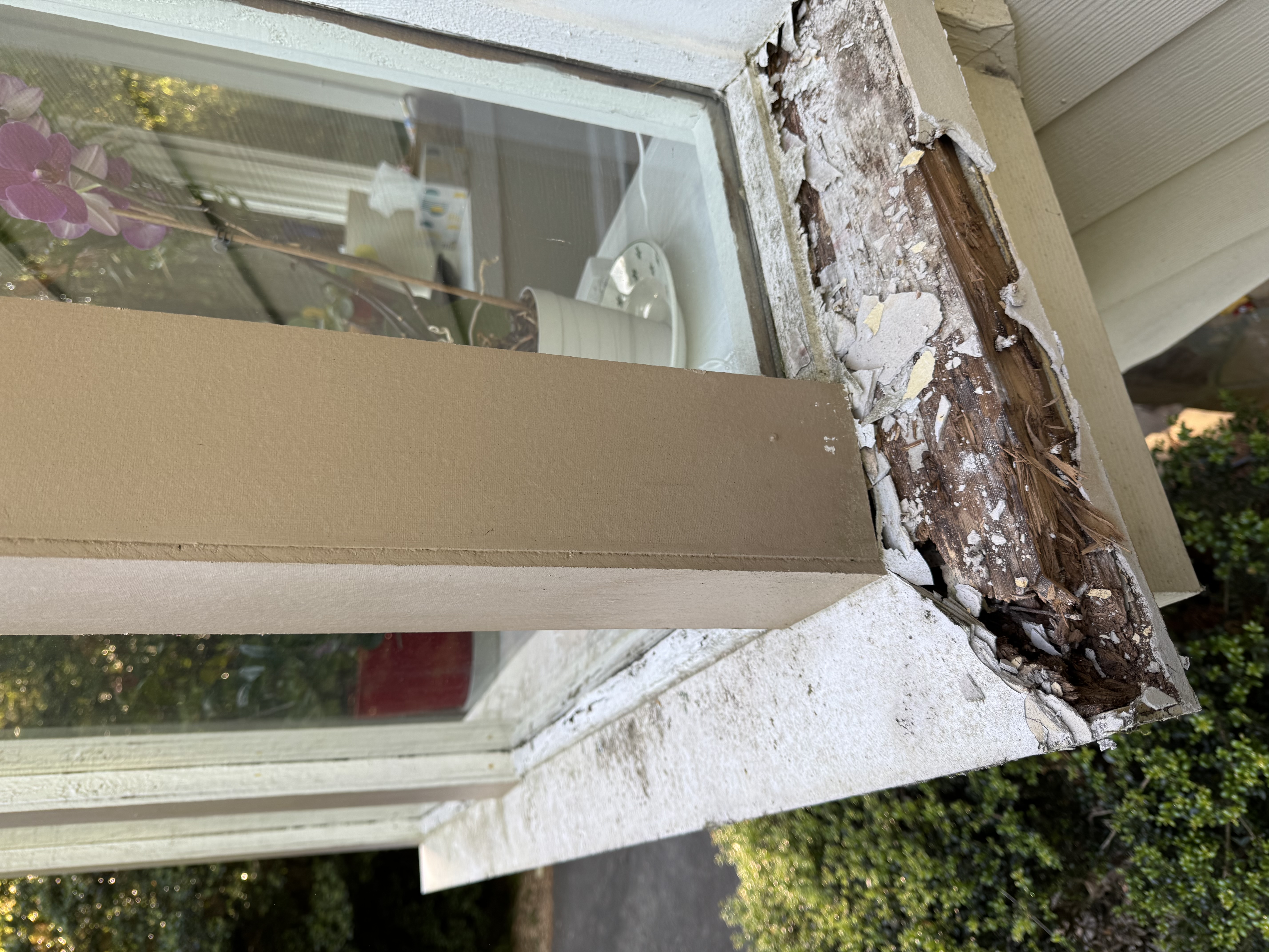 Rotten Wood Repair